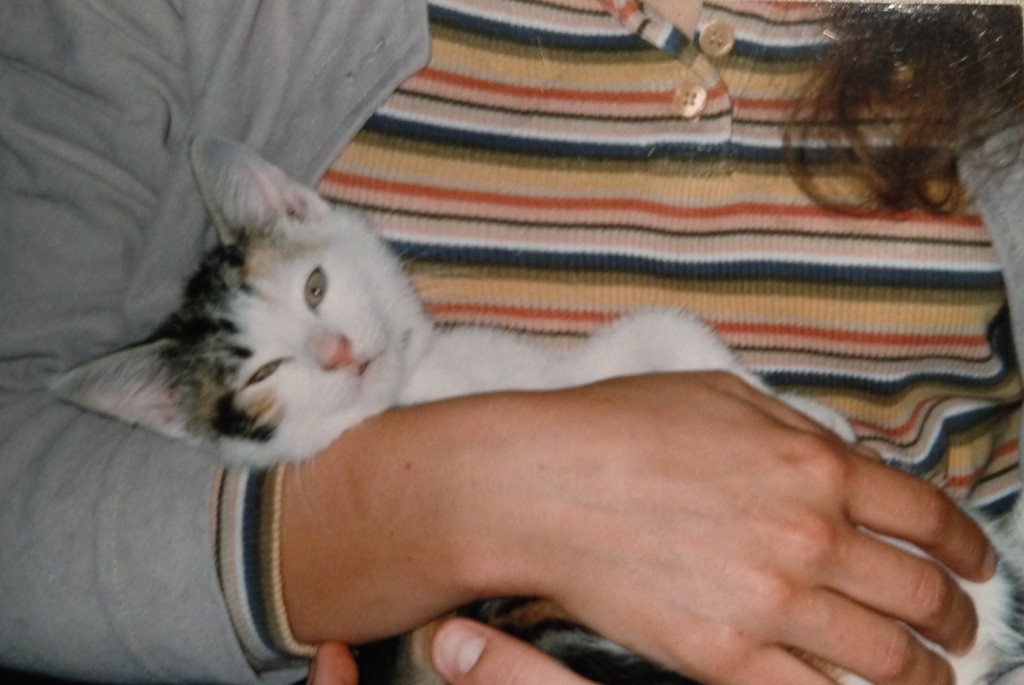 poes coach mariette dietzcoaching hoofddorp