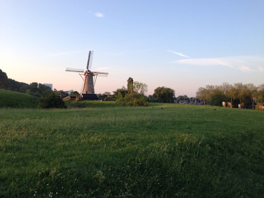 hardlopen rondje molen