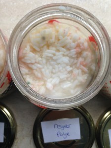 Rijstexperiment Mariette Dietz Coaching