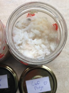 Rijstexperiment Mariette Dietz Coaching