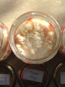 Rijstexperiment Mariette Dietz Coaching