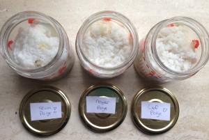 Rijstexperiment Mariette Dietz Coaching