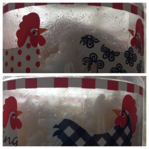 rijstexperiment na 47 dagen mariette dietz coaching