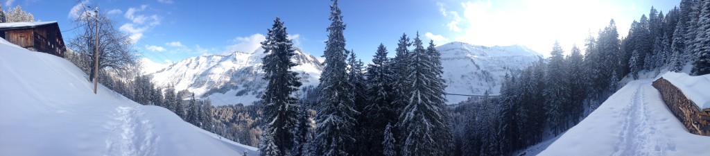 angst om te skiën
