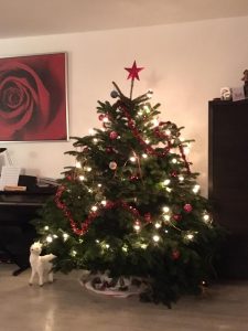 kerstboom rust