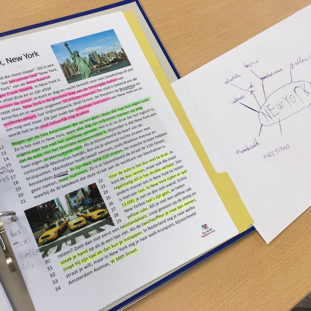 begrijpend lezen training