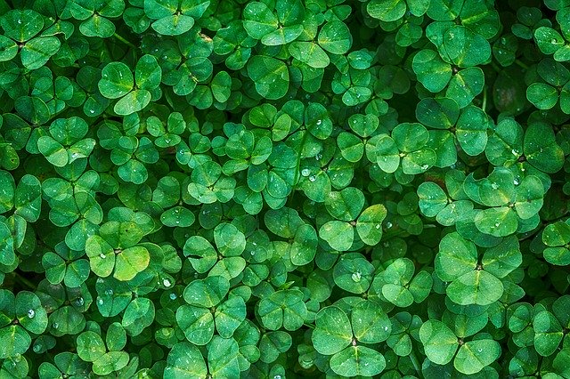 groen positief denken
