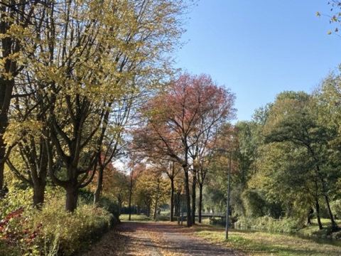 3,6 miljoen stappen
