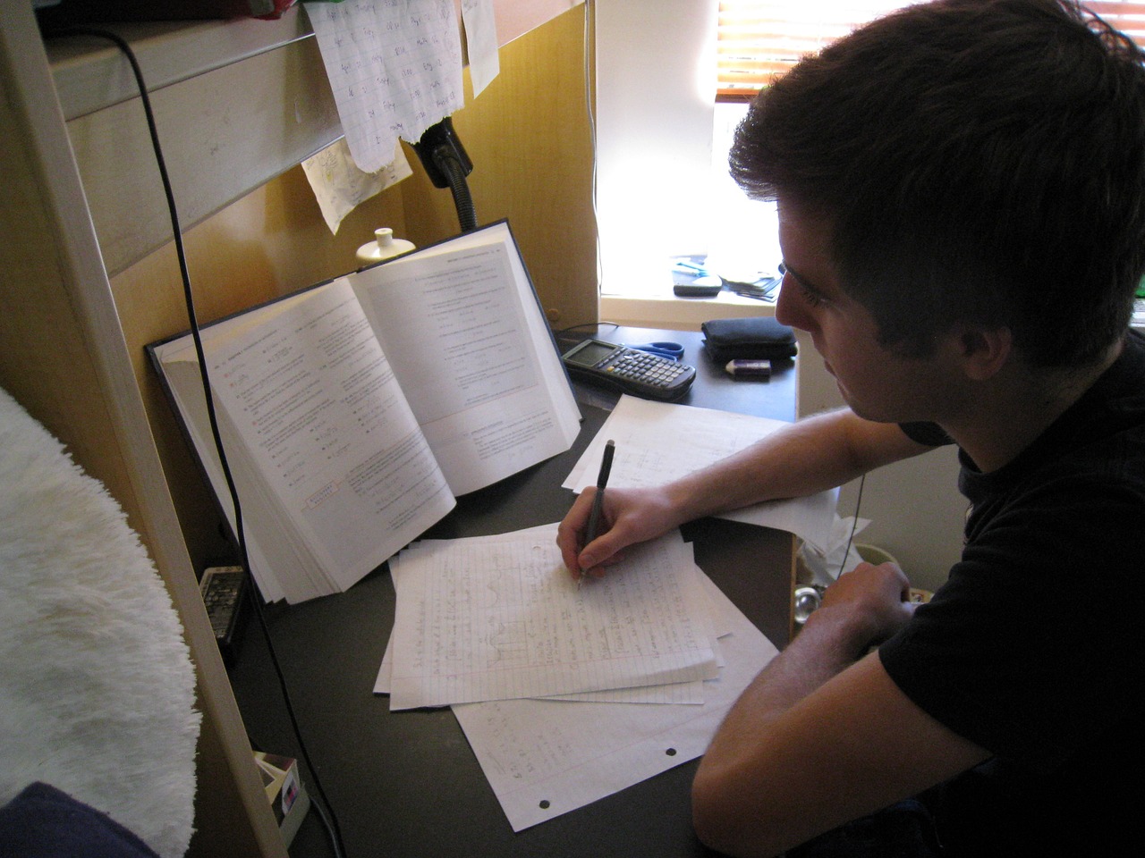leeraanpak leerstrategie examen tips