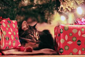 kerst rust tips